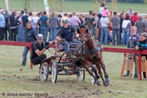 netti_jouni_heikinheimo_-_stefan_nyman_-_el_carillo_anna_aalto.jpg