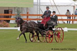 netti_koulukokeen_voittaja_wilbror_van_den_broek_-_oscar_ned_anna_aalto.jpg