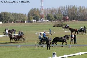 netti_treenit_saana_hakala_-_taija_raatikainen_-_brudvik_dewin_-_marko_saermaeharju_-_jarmo_tauriainen_-_coen_d_-_tomas_eriksson_-_arja_mikkonen_anna_aalto.jpg